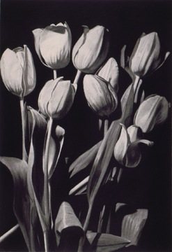 Painting by Robert Jennings