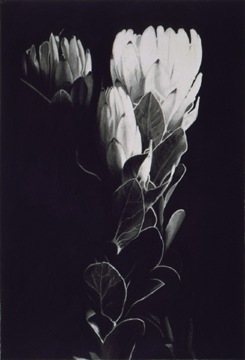 Painting by Robert Jennings
